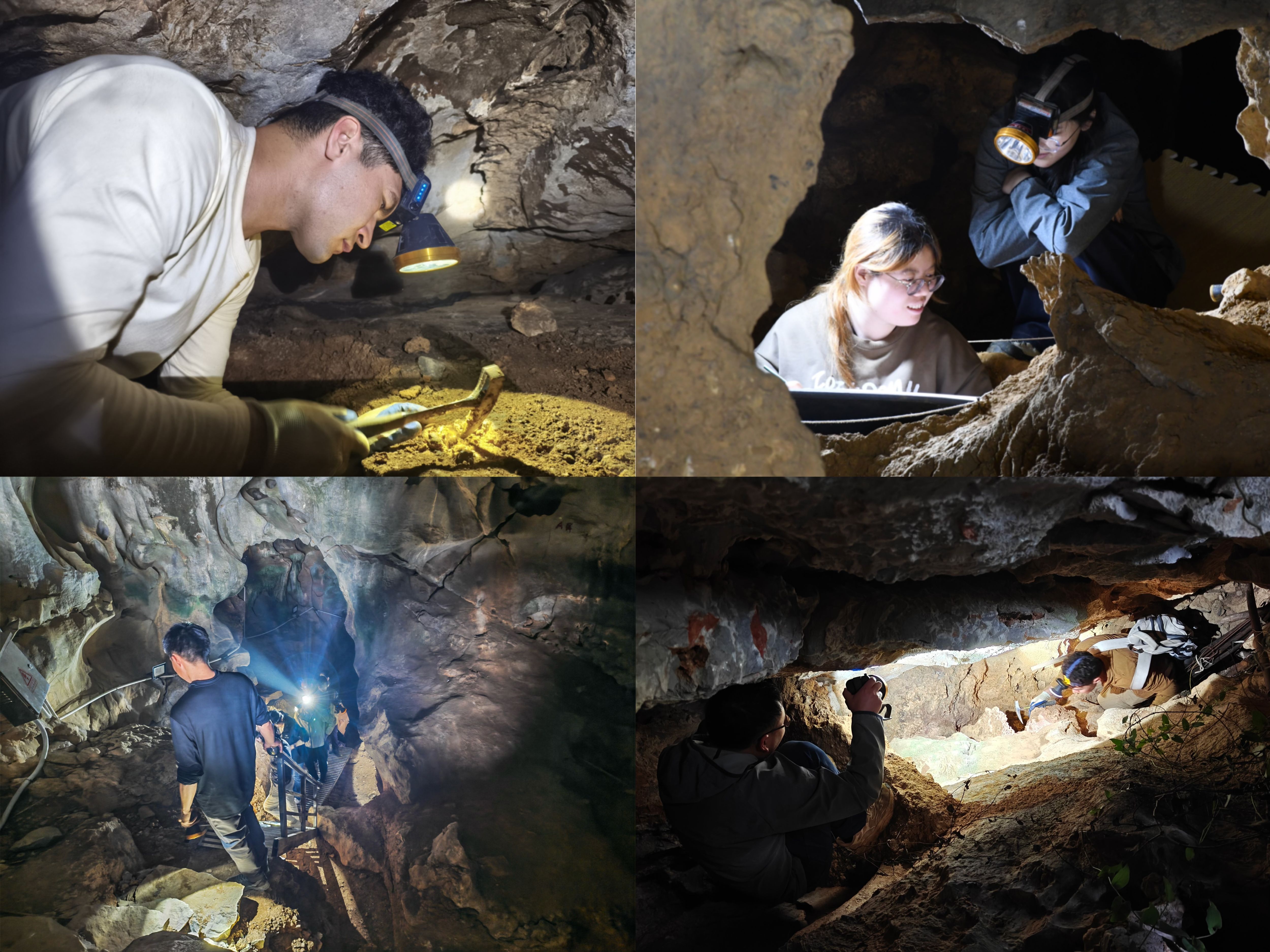 坚守考古一线，为百万年的人类演化史研究贡献山大力量